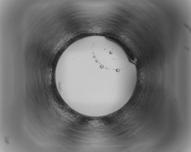 X0000102370544200808221741