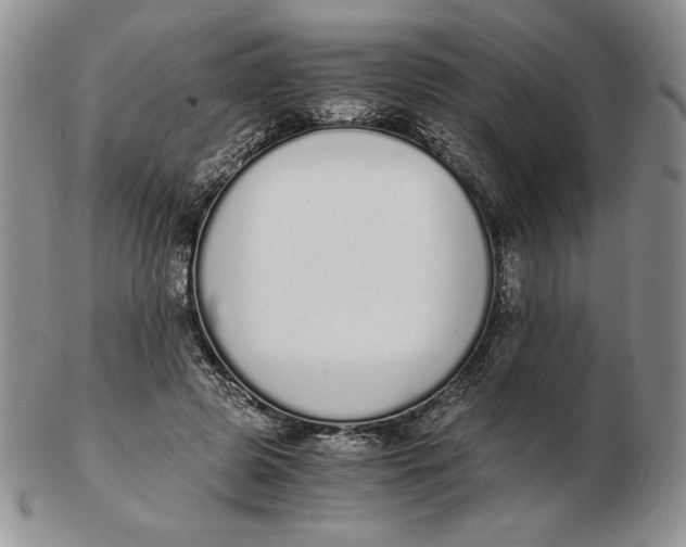 X0000102370545200808221741