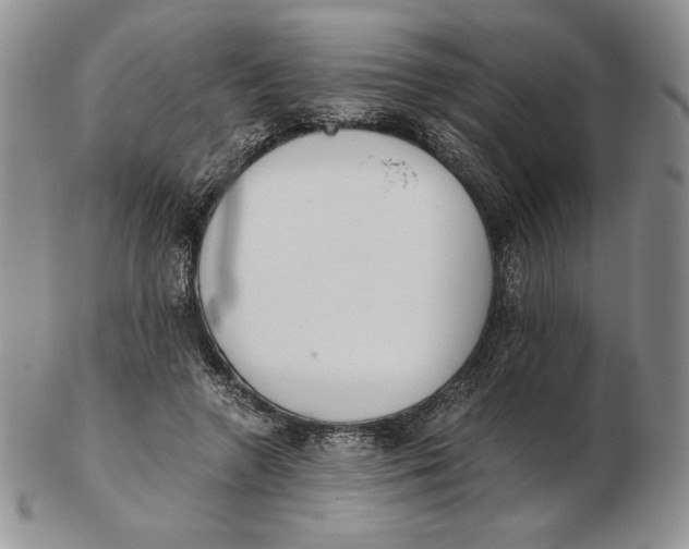 X0000102370546200808221741