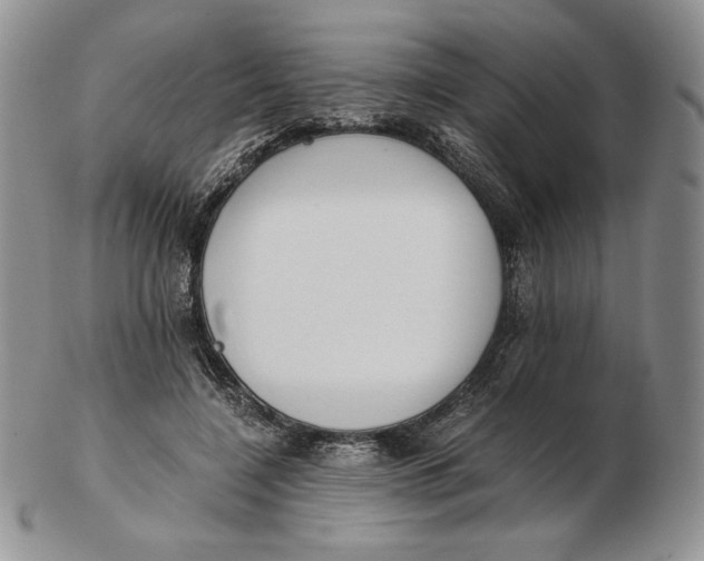 X0000102370548200808221741