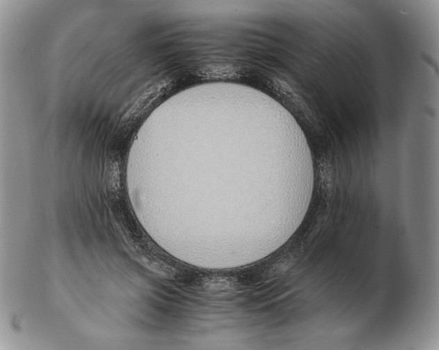 X0000102370549200808221741