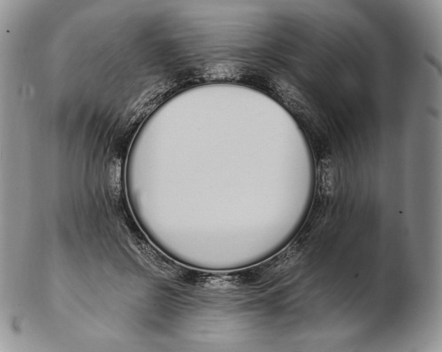 X0000102370550200808221741