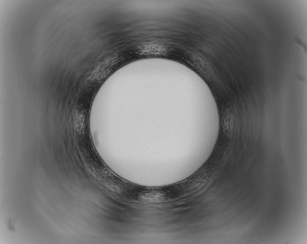 X0000102370551200808221741