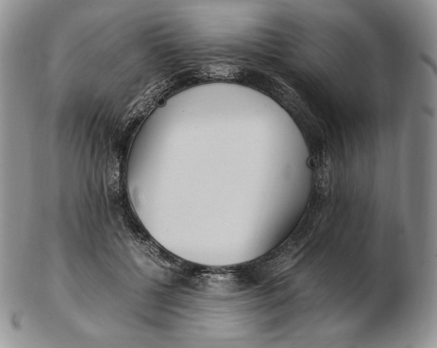 X0000102370552200808221741