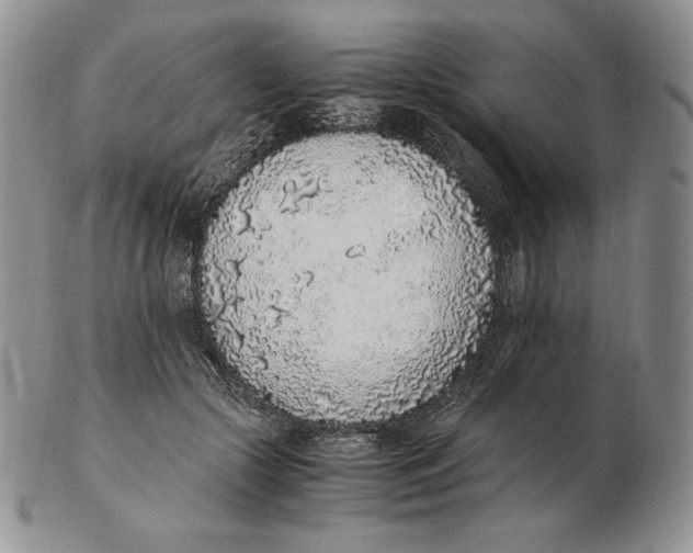 X0000102370553200808221741