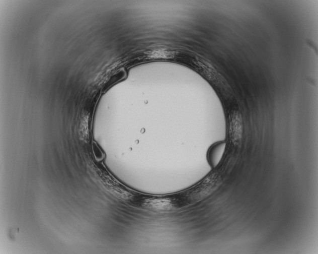 X0000102370554200808221741