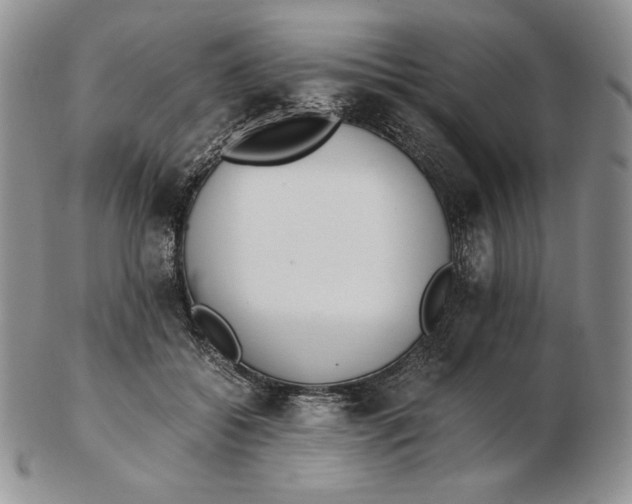 X0000102370556200808221741