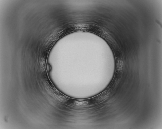 X0000102370557200808221741