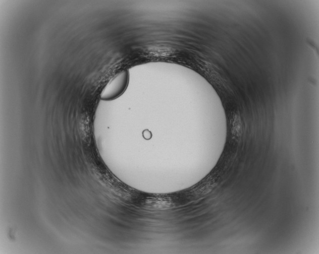 X0000102370559200808221741