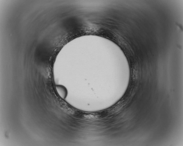 X0000102370561200808221742