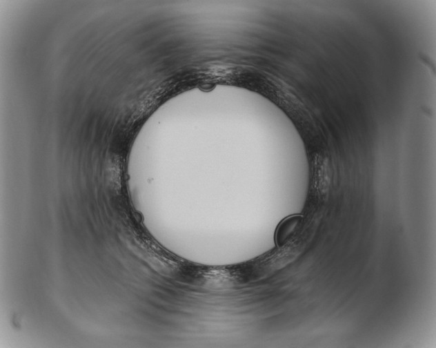 X0000102370562200808221742