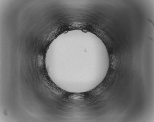 X0000102370563200808221742