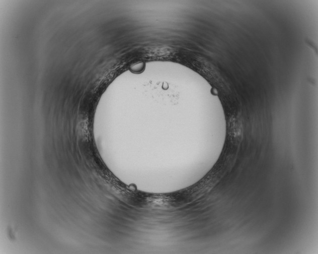 X0000102370564200808221742