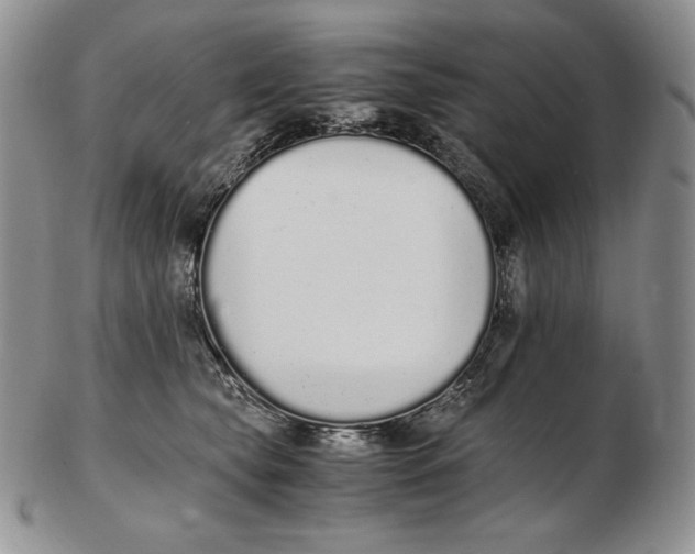 X0000102370565200808221742