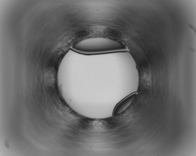 X0000102370566200808221742