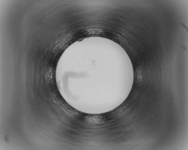 X0000102370567200808221742