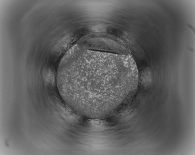 X0000102370568200808221742