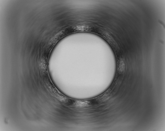 X0000102370569200808221742