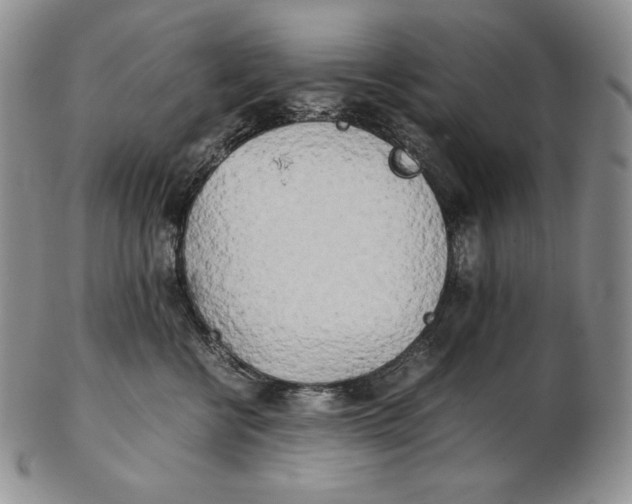 X0000102370570200808221742