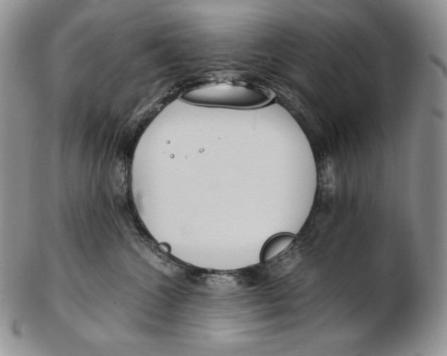 X0000102370572200808221742