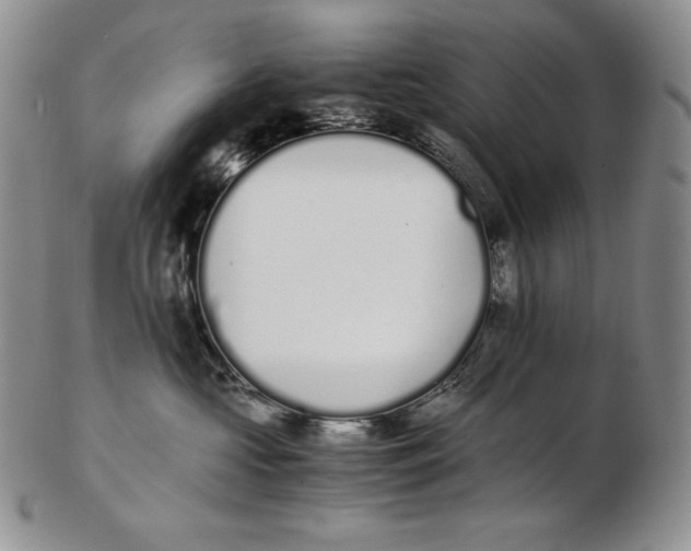 X0000102370573200808221742