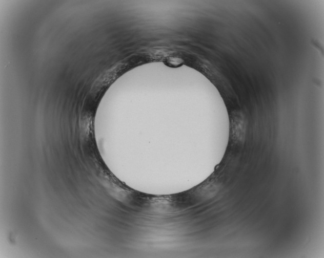 X0000102370574200808221742