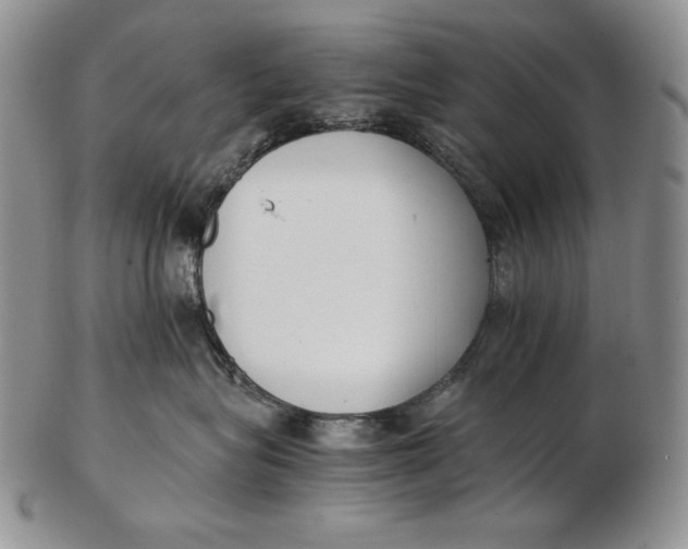 X0000102370575200808221742