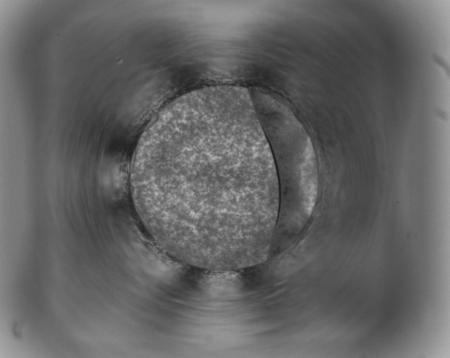 X0000102370576200808221742