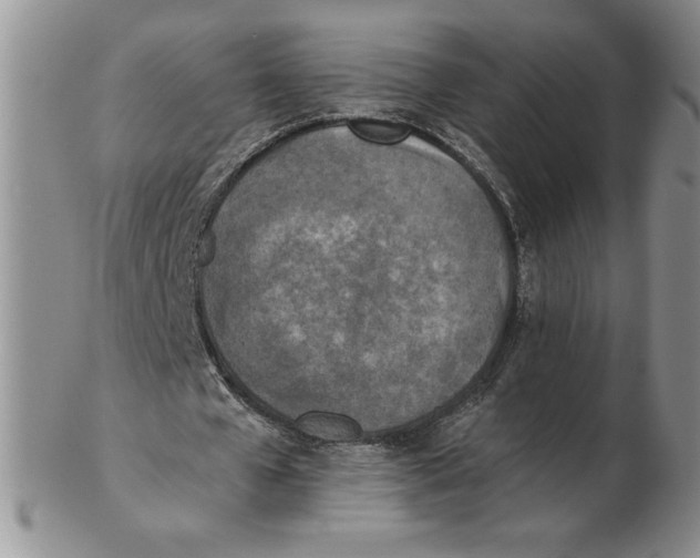 X0000102370577200808221741