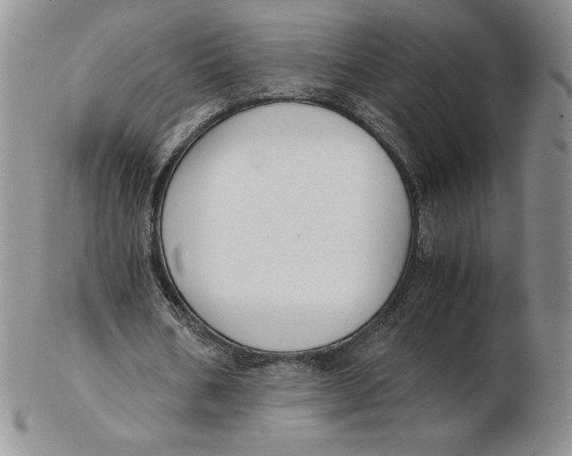 X0000102370578200808221741