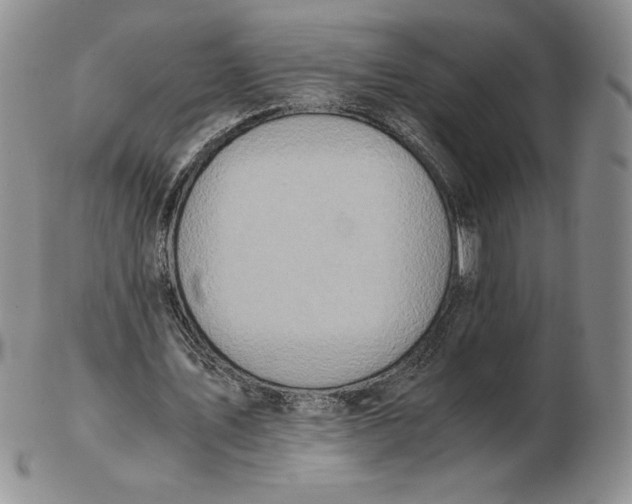 X0000102370579200808221741