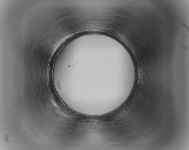 X0000102370580200808221741