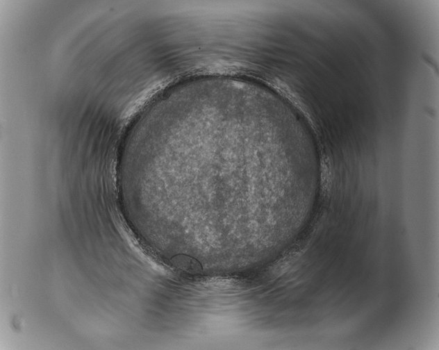 X0000102370581200808221741