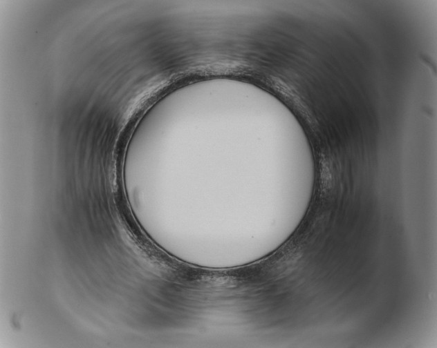 X0000102370582200808221741