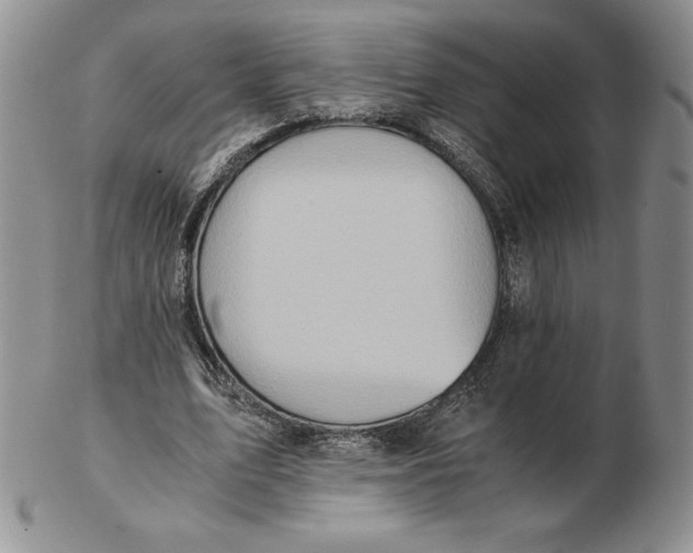 X0000102370583200808221741