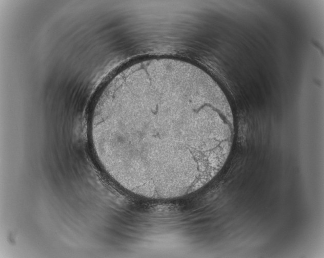 X0000102370584200808221741