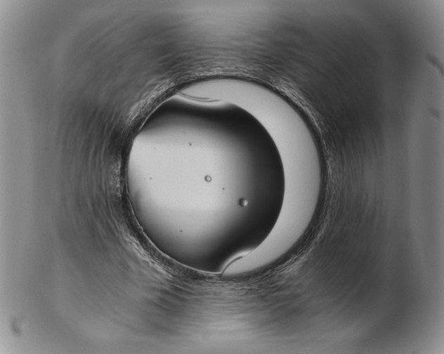 X0000102370585200808221741