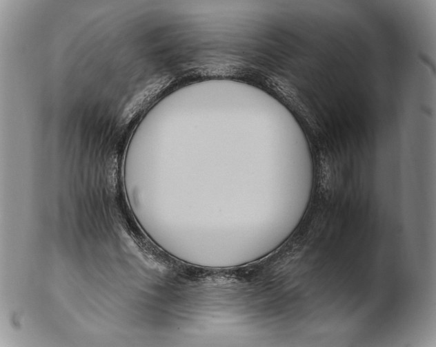 X0000102370586200808221741