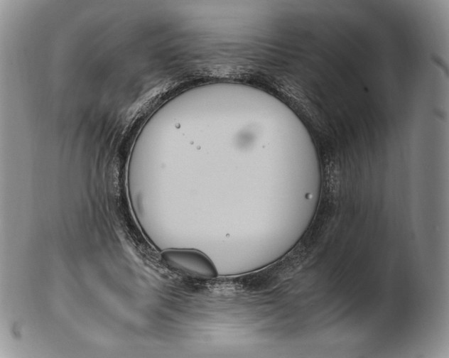 X0000102370587200808221741