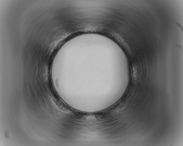 X0000102370588200808221741