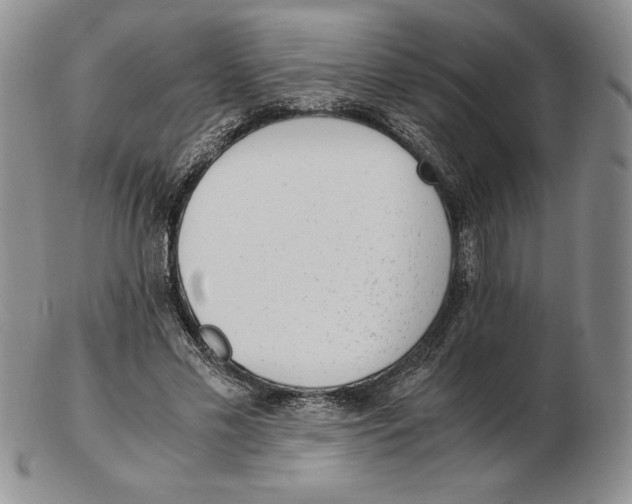 X0000102370589200808221741