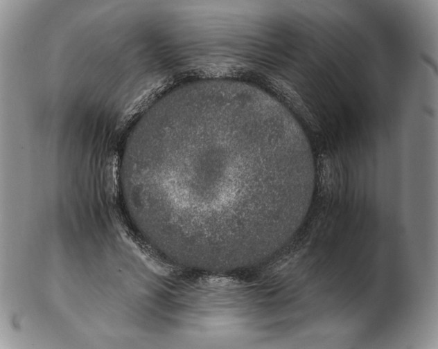 X0000102370590200808221741