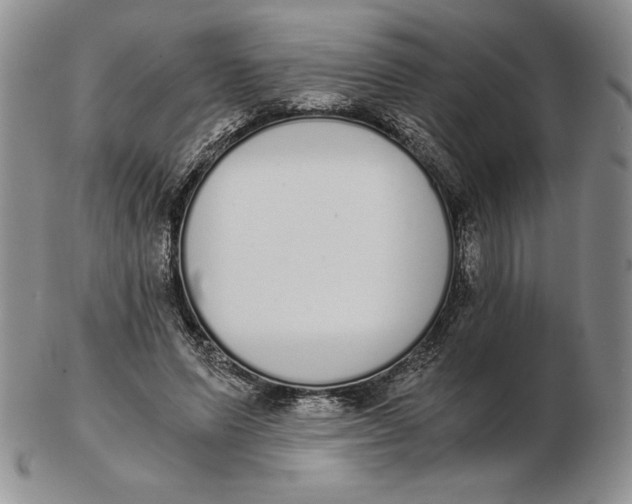 X0000102370591200808221741