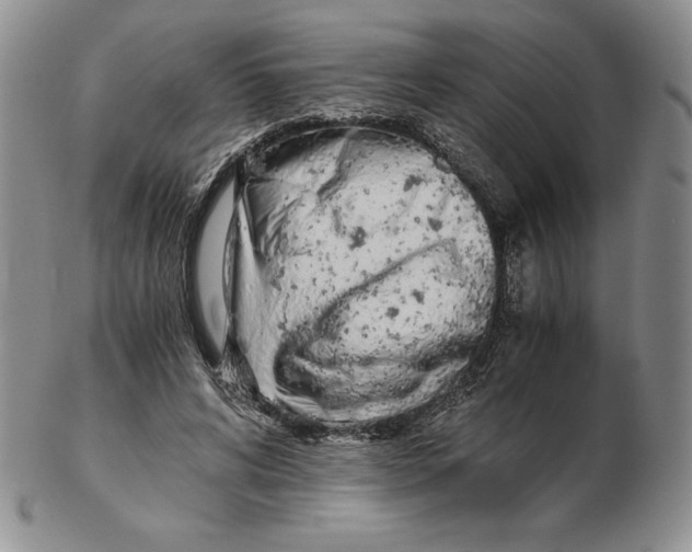 X0000102370592200808221741