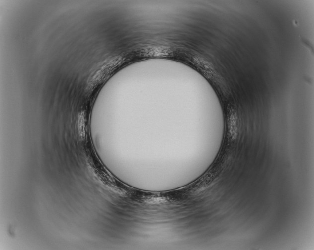 X0000102370594200808221741