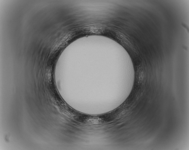 X0000102370595200808221741