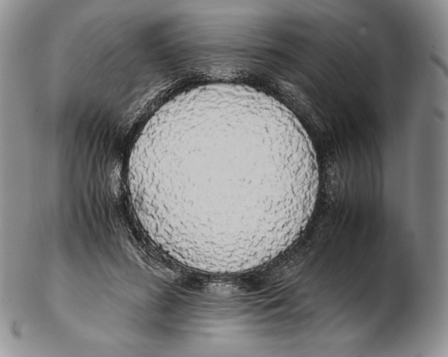 X0000102370596200808221741