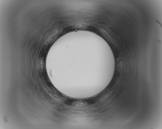 X0000102370597200808221741