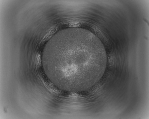 X0000102370598200808221741