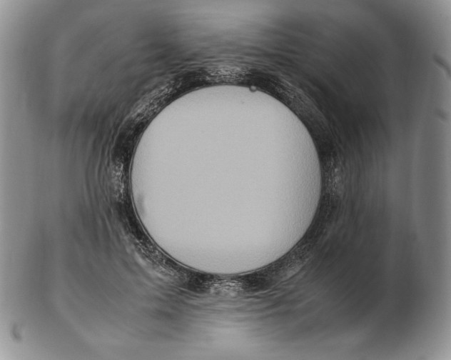 X0000102370599200808221741